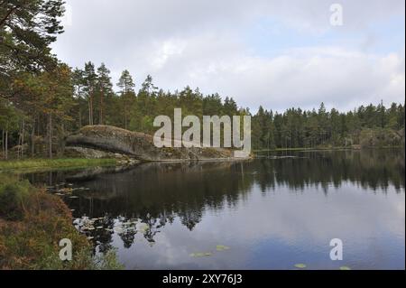 Parc national de Tiveden en suède, en automne Banque D'Images