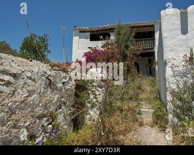 Bâtiment abandonné avec jardin envahi et plantes à fleurs sous un ciel clair, ibiza, mer méditerranée, espagne Banque D'Images