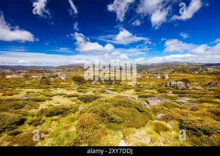 Vue sur le paysage le long du Porcupine Walking Track un jour d'été dans le parc national de Kosciuszko, Snowy Mountains, Nouvelle-Galles du Sud, Australie Banque D'Images