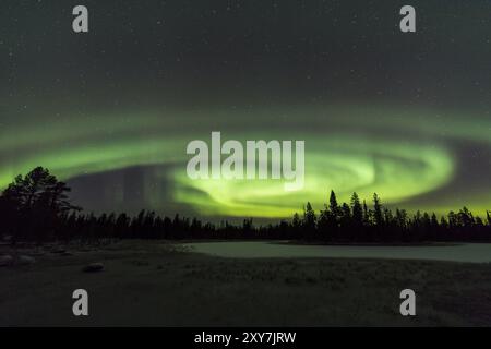 Aurores boréales (aurores boréales), parc national de Muddus, site du patrimoine mondial de Laponie, Norrbotten, Laponie, Suède, octobre 2016, Europe Banque D'Images