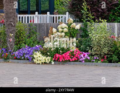 Un parterre de fleurs coloré sur l'allée d'une maison résidentielle à Shepperton Surrey Angleterre Banque D'Images