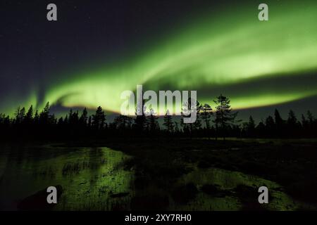 Aurores boréales (aurores boréales), parc national de Muddus, site du patrimoine mondial de Lapnia, Norrbotten, Laponie, Suède, octobre 2015, Europe Banque D'Images