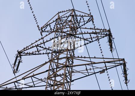 Un troupeau d'étourneaux est assis sur les lignes électriques. Un troupeau d'oiseaux noirs. Banque D'Images