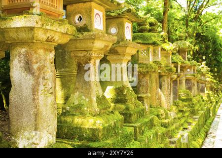 Rangée de lanternes en pierre recouvertes de mousse à répétition au complexe du temple Todai-ji à Nara, Japon, Asie Banque D'Images