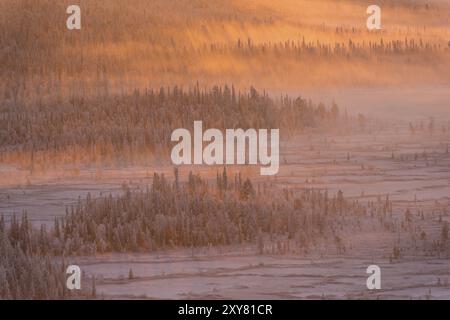 Foggy Mood, réserve naturelle de Stubba, site du patrimoine mondial de Laponie, Norrbotten, Laponie, Suède, novembre 2014, Europe Banque D'Images