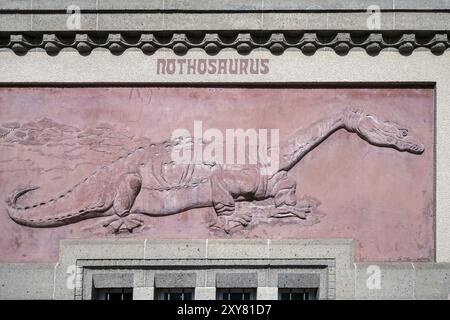 Berlin, Allemagne, 2014. Relief Nothosaurus sur le mur à l'extérieur du zoo à Berlin, Europe Banque D'Images