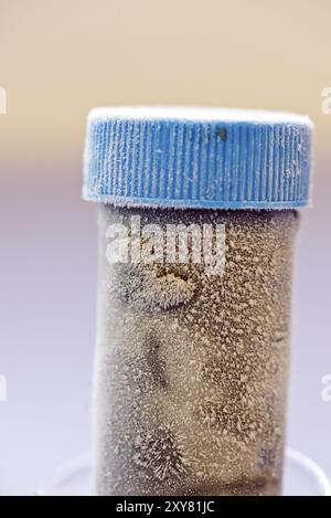Flacon d'échantillon congelé utilisé dans un laboratoire biochimique Banque D'Images