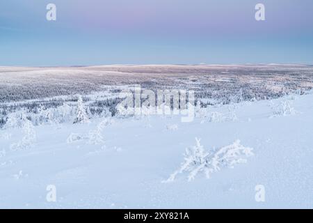 Paysage hivernal, Norrbotten, Laponie, Suède, novembre 2017, Europe Banque D'Images