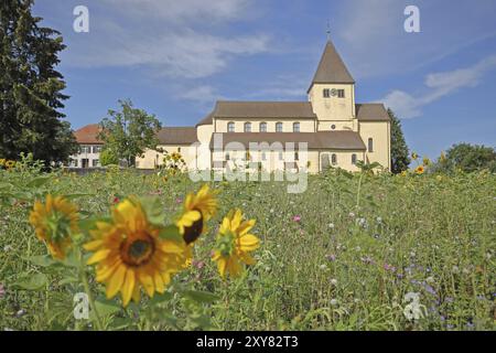 UNESCO Carolingian St George's Church, champ de fleurs, prairie de fleurs, tournesols, Oberzell, île de Reichenau, Untersee, lac de Constance, lac de Constance a Banque D'Images