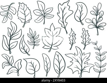 Jeu de feuilles à l'encre dessinées à la main. Collection de croquis de feuilles d'arbre. Rameaux rustiques botaniques et feuillage, graphiques vectoriels Illustration de Vecteur