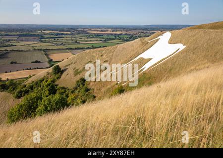 Westbury White Horse and Bratton Camp, Westbury, Wiltshire, Angleterre, Royaume-Uni, Europe Banque D'Images