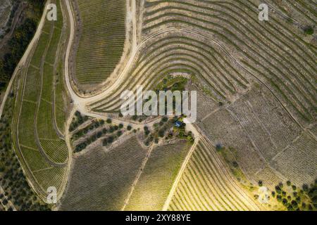 Région de la vallée du vin du Douro vue aérienne de dessus de drone, au Portugal Banque D'Images