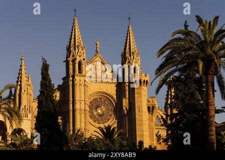 Catedral de Mallorca, siglo XIII, Monumento Histirico-artistico, Palma, majorque, islas baleares, espana, europa Banque D'Images