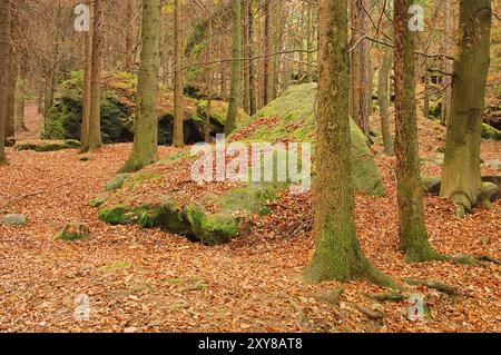 Sandsteinfelsen im Wald, roche de grès dans la forêt 02 Banque D'Images