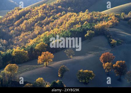 Panorama di una collina con campo arato ed alberi in veste autunnale Controluce Banque D'Images