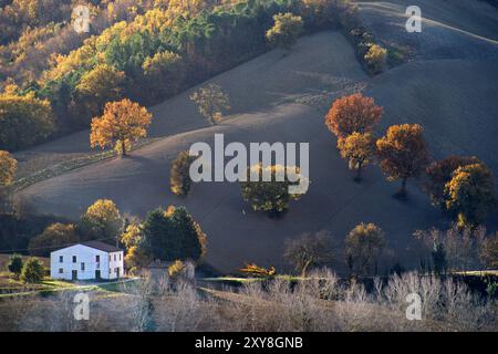 Panorama di una collina con campo arato ed alberi in veste autunnale Controluce Banque D'Images