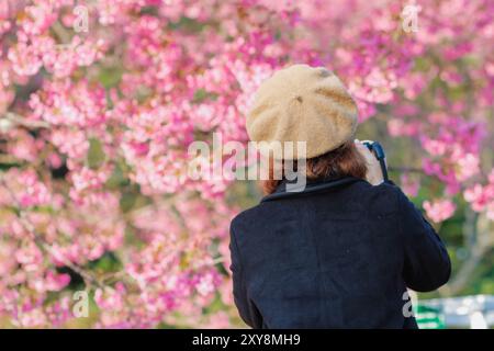 Une jeune femme voyageant et prenant des photos de la belle fleur de cerisier rose Sakura en hiver. Un jeune photographe voyage et capture le cher rose Banque D'Images