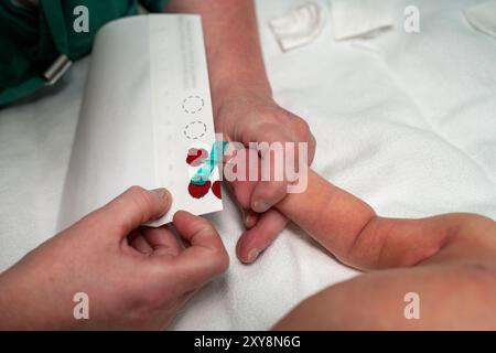 Médecin effectuant une procédure de prélèvement sanguin sur un nouveau-né dans un hôpital. Banque D'Images