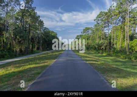 Parc de conservation de Flatwoods City of Tampa Hillsboro County Florida Recreation Banque D'Images