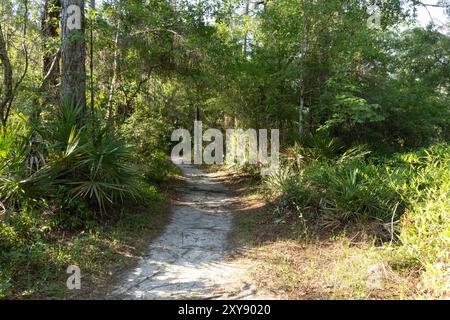 Parc de conservation de Flatwoods City of Tampa Hillsboro County Florida Recreation Banque D'Images