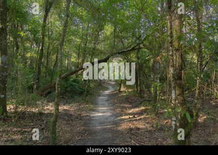 Parc de conservation de Flatwoods City of Tampa Hillsboro County Florida Recreation Banque D'Images