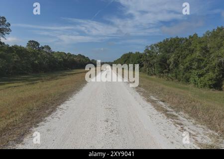 Parc de conservation de Flatwoods City of Tampa Hillsboro County Florida Recreation Banque D'Images