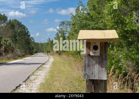 Parc de conservation de Flatwoods City of Tampa Hillsboro County Florida Recreation Banque D'Images