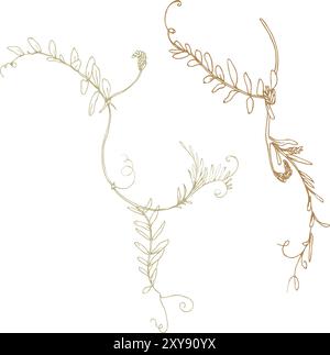Vicia cracca deux branches sauvages, herbes de prairie, fleurs séchées. Le dessin au trait est une illustration simple dessinée à la main à l'encre beige, ocre, brune. Vecteur isolé Illustration de Vecteur