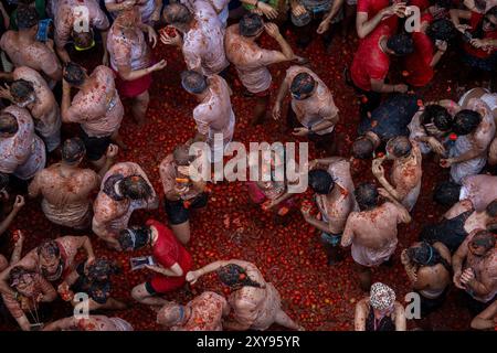 Valencia, Espagne. 28 août 2024. Participants vus dans une piscine de tomates concassées pendant le festival Tomatina. Une fois de plus, le populaire festival la Tomatina a eu lieu dans la ville valencienne de Buñol. Six camions transportant 120 000 kilos de tomates ont été jetés parmi les 22 000 participants du festival. Crédit : SOPA images Limited/Alamy Live News Banque D'Images