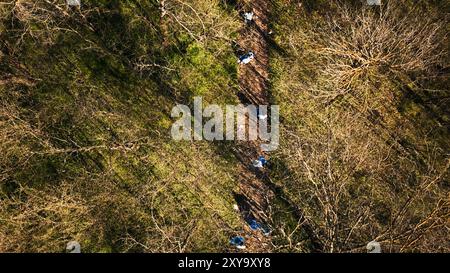 Tir par drone de militants écologistes nettoyant la forêt des ordures et des déchets plastiques, ramassant les ordures et recyclant pour une meilleure préservation de la nature. Bénévolat pour la justice écologique. Banque D'Images