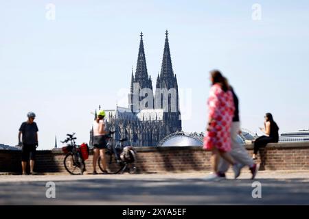 Der Kölner Dom gesehen im Sommer von der rechten Rheinseite Deutz aus. Themenbild, Symbolbild Köln, 27.08.2024 NRW Deutschland *** Cathédrale de Cologne vue en été de la rive droite du Rhin, Deutz image thématique, image symbolique Cologne, 27 08 2024 NRW Allemagne Copyright : xChristophxHardtx Banque D'Images