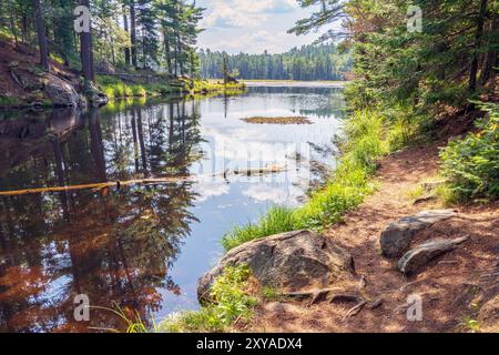 Étang Beaver vu depuis le sentier Beaver Dam dans le parc provincial Algonquin. Banque D'Images