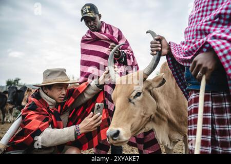 (240829) -- BEIJING, 29 août 2024 (Xinhua) -- Zhuo Qiang vérifie l'état d'un bœuf attaqué par des lions dans une famille Massaï à Maasai Mara, Kenya, le 22 août 2024. De regarder des dessins animés représentant des animaux sauvages dans l'enfance à devenir un gardien de la faune, Zhuo Qiang, également connu sous le nom de Simba, est le premier Chinois à travailler à plein temps sur la conservation de la faune en Afrique. En 2011, Zhuo se rend dans la savane de Mara-Serengeti, où il séjourne avec le peuple indigène Massaï et travaille avec des écologistes locaux à ol Kinyei Conservancy, un sanctuaire pour la faune. Il a continué à faire son travail Banque D'Images