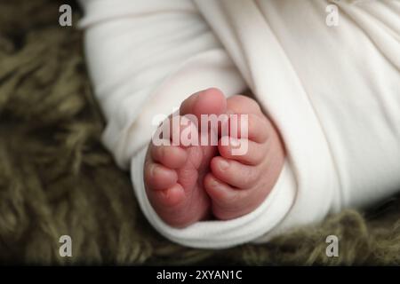 Pieds mous d'un nouveau-né dans une couverture blanche sur fond vert foncé. Banque D'Images