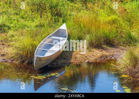 Un canot en aluminium s'est arrêté sur la rive d'un petit étang au large du sentier Spruce Bog Boardwalk, dans le parc provincial Algonquin. Banque D'Images