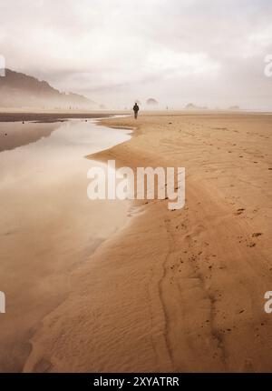 Un homme marche seul sur une plage du parc d'État de Tolovana, Oregon, avec des marais brumeux au loin. Banque D'Images