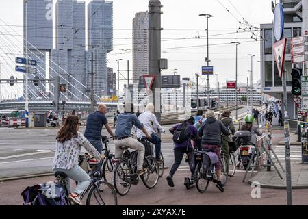 Cycliste sur une piste cyclable devant le pont Erasmus sur la Nieuwe Maas, gratte-ciel sur la Kop van Zuid, Rotterdam, pays-Bas Banque D'Images