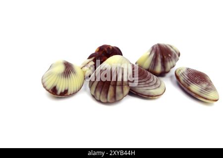 Bonbons au chocolat en forme de différents poissons à plateau sur blanc Banque D'Images