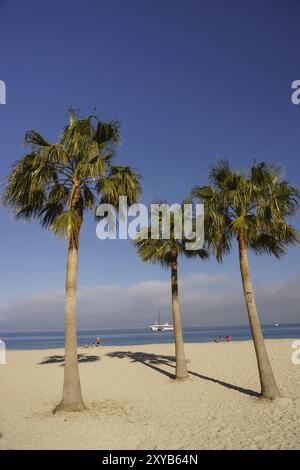 Playa de son Maties, Palma Nova, Calvia, Mallorca, Islas baleares, Espagne, Europe Banque D'Images