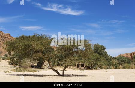 Logement bédouin dans une oasis dans le désert parmi les montagnes en Egypte Dahab Banque D'Images