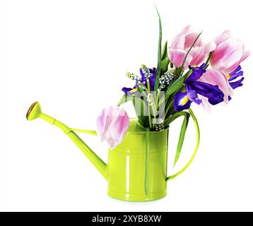 Bouquet de tulipes roses, d'iris violets et de muscari dans l'arrosoir sur fond blanc Banque D'Images