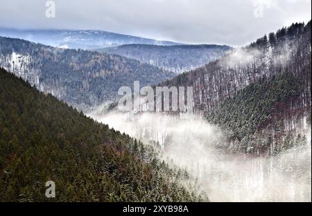 Brouillard en hiver montagnes Harz, Allemagne, vue depuis Ilsestein, Europe Banque D'Images