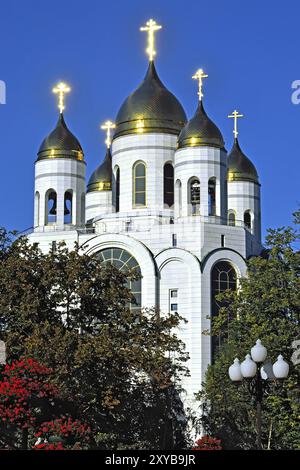 Dômes de la cathédrale du Christ Sauveur. Kaliningrad (anciennement Koenigsberg), Russie, Europe Banque D'Images