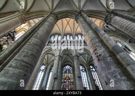 Gothique : Église Nicolas, plafond voûté et colonnes de la nef centrale, Gand, Flandre, Belgique, Europe Banque D'Images