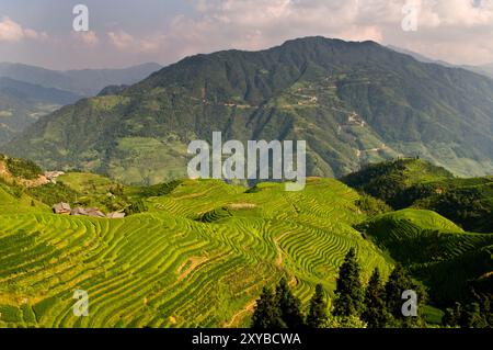 Les étonnantes terrasses de riz de Longji dans Guangxi, Chine. Banque D'Images