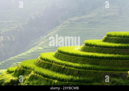 Les étonnantes terrasses de riz de Longji dans Guangxi, Chine. Banque D'Images