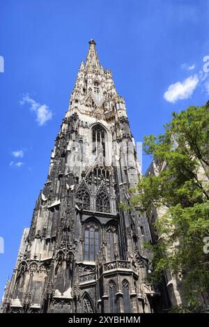 Autriche, ville de Vienne, Étienne's Cathedral, Stephansdom, gothique South Tower, Europe Banque D'Images