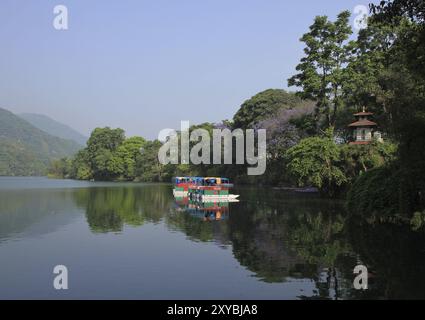 Petite pagode et arbres à fleurs violets à Pokhara, Népal, Asie Banque D'Images