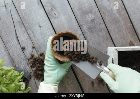 Concept de passe-temps de jardinage. ECO pot, plante verte, mains de jardinier dans des gants, pelle sur fond en bois plat. Banque D'Images