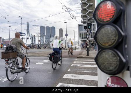 Feu de circulation à vélo, cycliste sur piste cyclable, vélo au feu rouge, en face du pont Erasmus sur la Nieuwe Maas, horizon de gratte-ciel sur le Banque D'Images